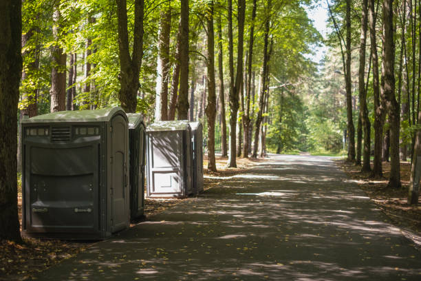 Best Local porta potty services  in Forest View, IL